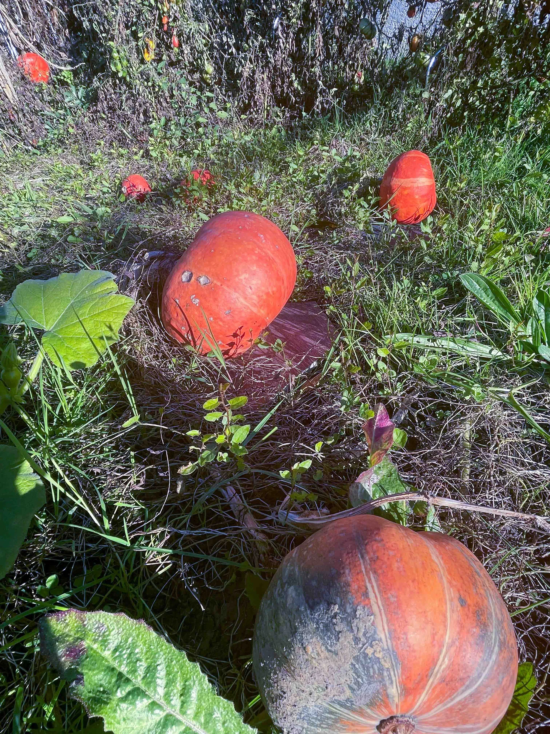 La Villa outdoor space